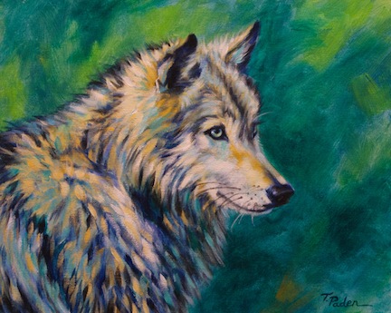 432x345 Colorful Southwestern Art Impressionistic Gray Wolf Painting - Colorful Wolf Painting