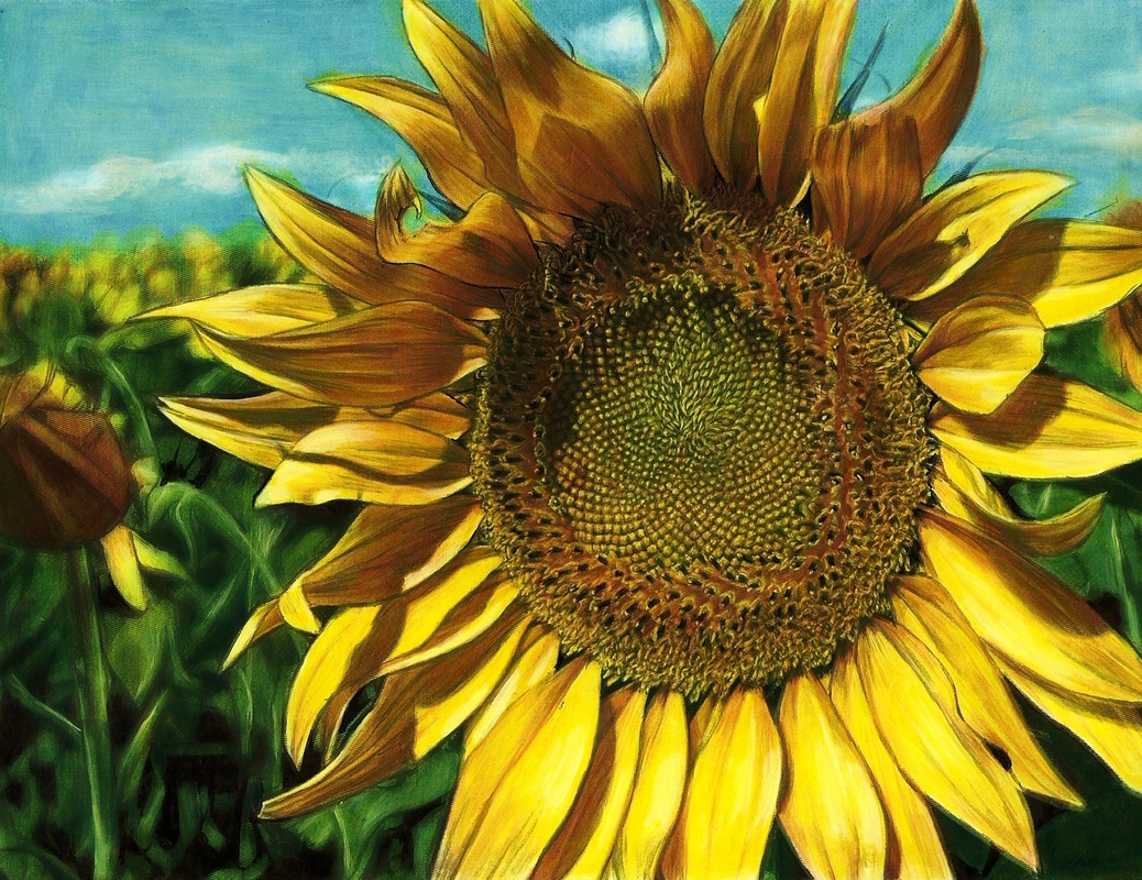 1038x800 How To Paint A Grayscale Coloring Page - Colorist Painting Techniques