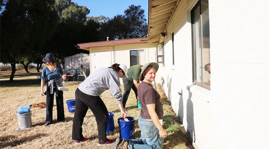 900x500 Des Volunteers Give The Gift Of Community Service Arizona - Community Service Painting