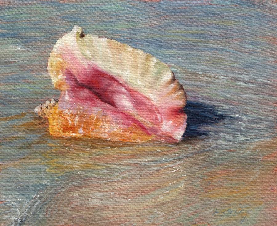 900x734 Conch Shell Painting By David Stribbling - Conch Shell Painting