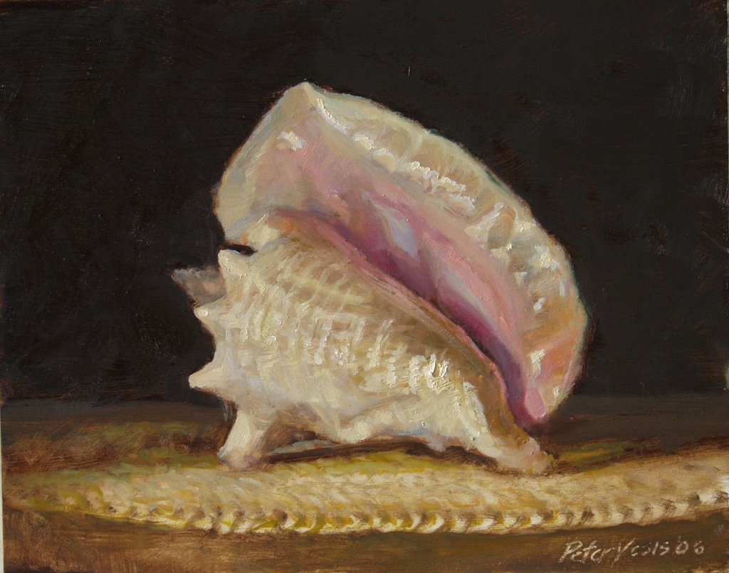 1024x805 Daily Painting Practice Painting A Conch Shell - Conch Shell Painting