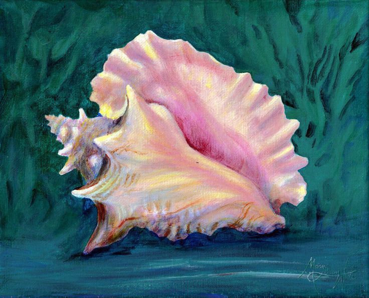 736x595 Did You Really Hear The Ocean When You Were A Kid This Is My - Conch Shell Painting