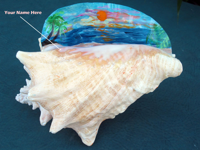 800x600 Sea Shell Art From Key West, Florida - Conch Shell Painting