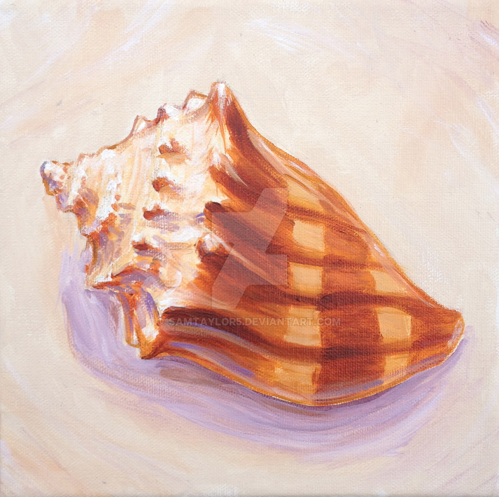 1024x1020 Small Conch Shell Sand By Samtaylor5 - Conch Shell Painting