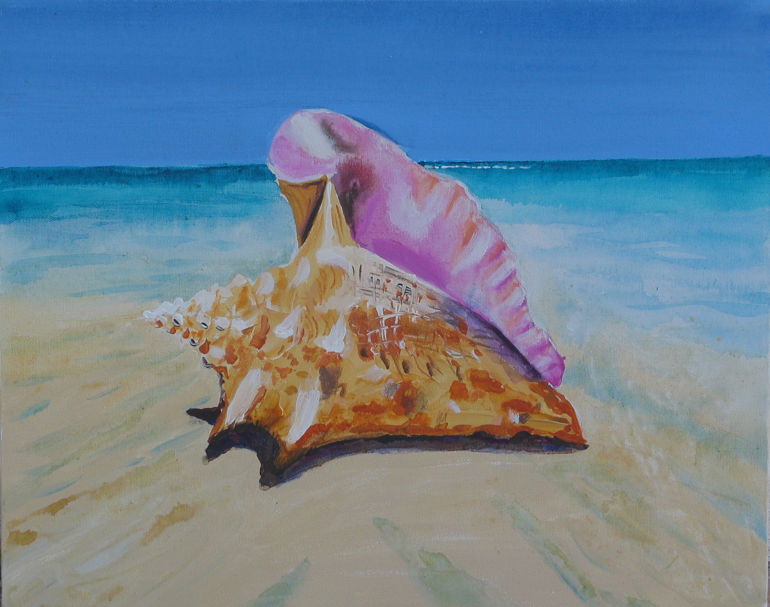 2513x1980 Conch Shell Anna's Art Gallery - Conch Shell Painting