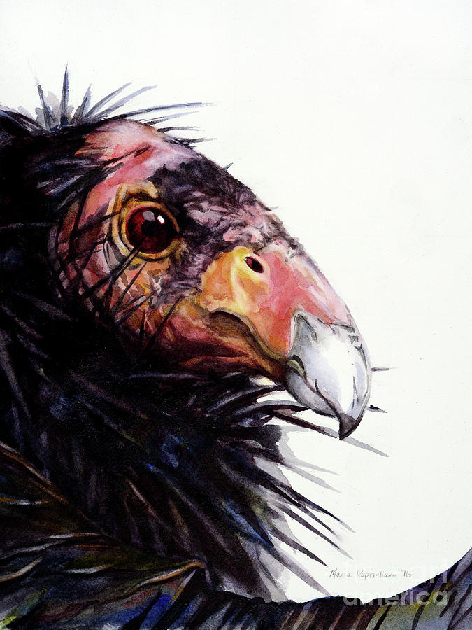 675x900 California Condor Painting By Maria Kaprielian - Condor Painting