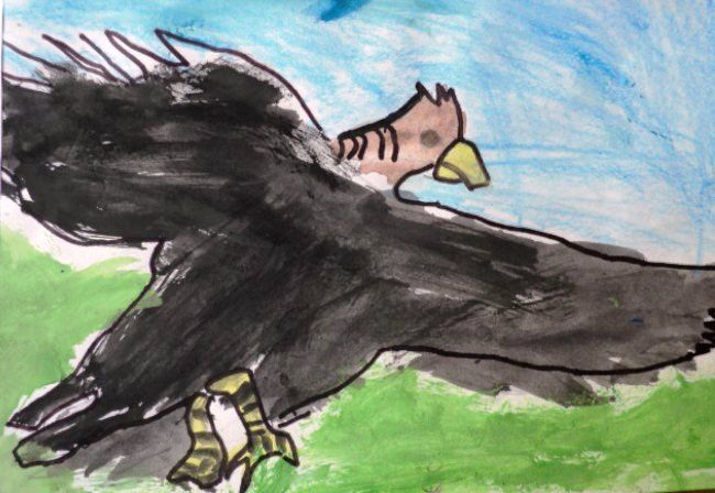 650x448 Condor En Acuarela, Argentina Escuela - Condor Painting