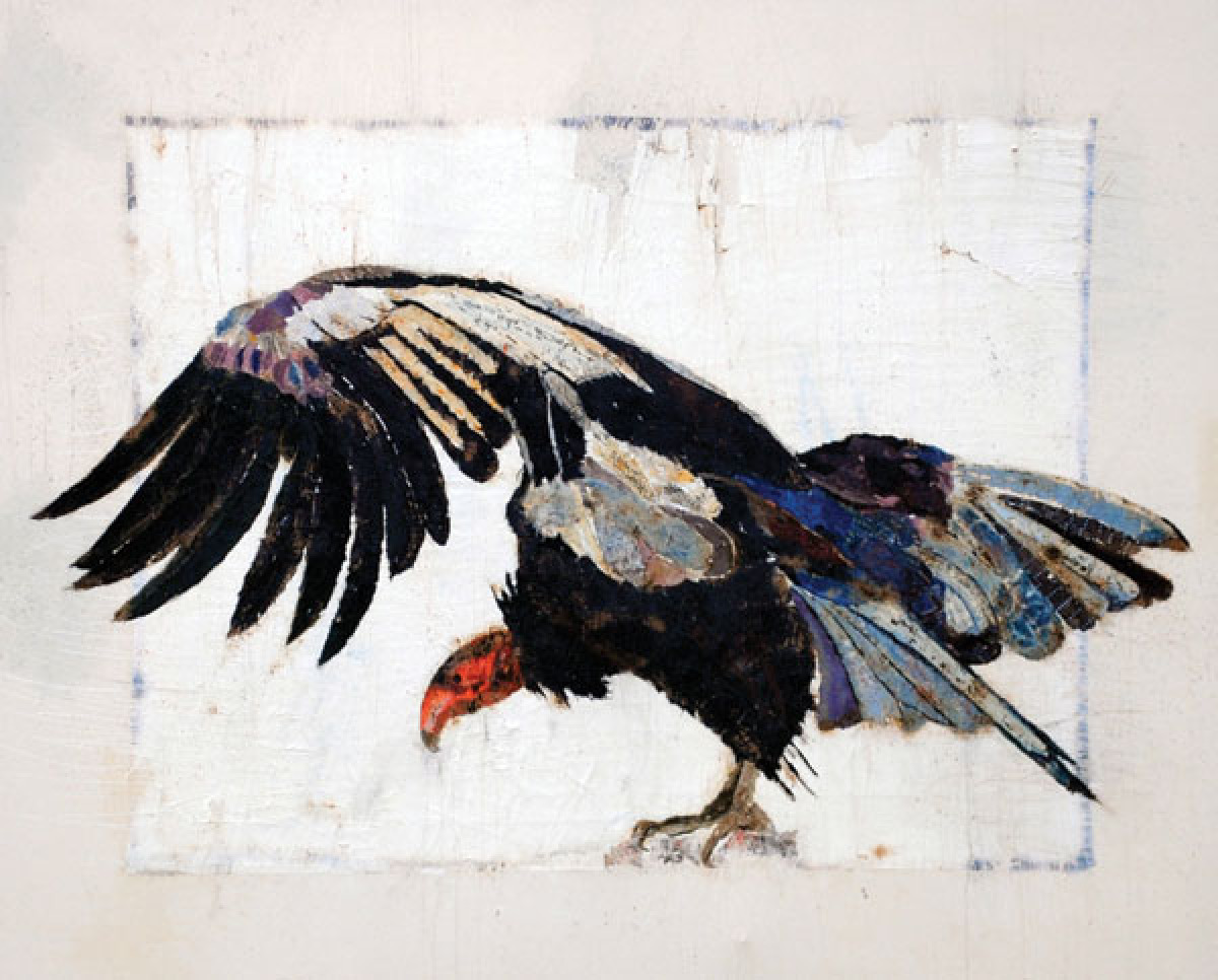 1200x966 Condor - Condor Painting