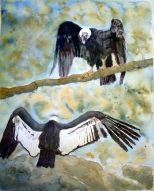 Condor Painting at PaintingValley.com | Explore collection of Condor ...