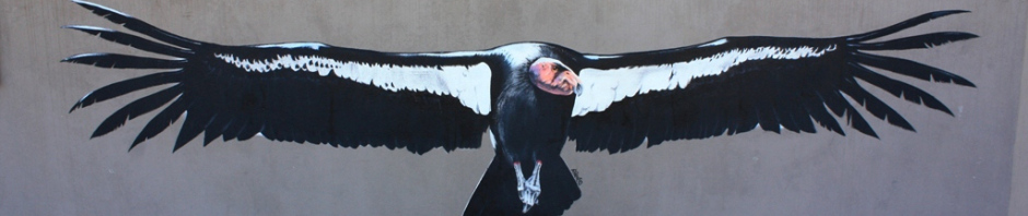 940x198 California Condor Jack Elliott's Santa Barbara Adventure - Condor Painting