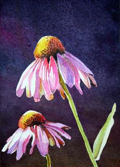 Coneflower Painting