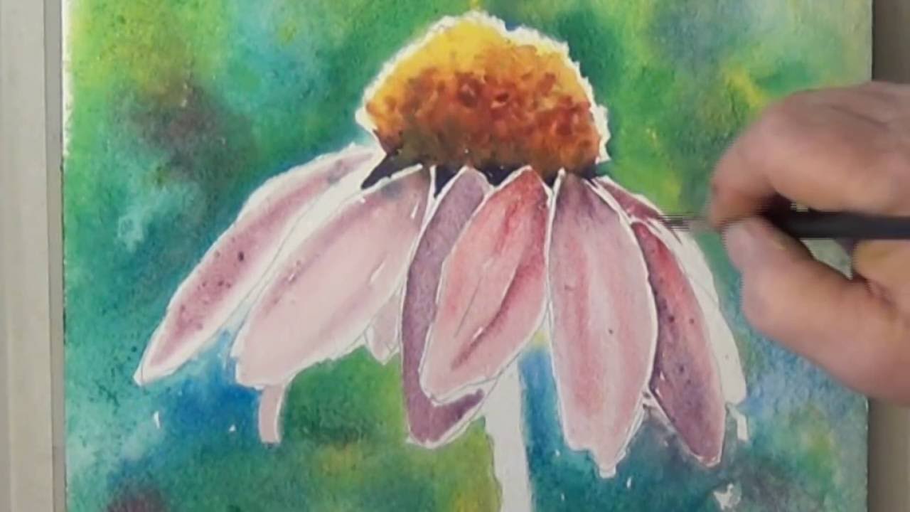 1280x720 How To Paint A Coneflower In Watercolor For Beginners - Coneflower Painting