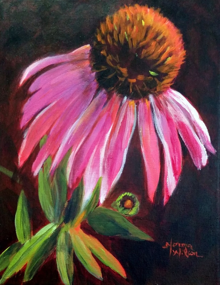 774x1000 Norma Wilson Original Acrylic Oil Coneflower Echinacea Floral - Coneflower Painting