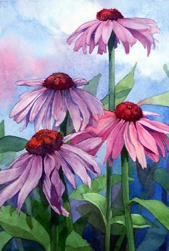 337x500 Paintings And Artistic Services By Hanne Lore Koehler Art - Coneflower Painting