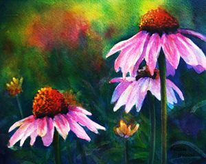 300x240 Paintings Of Flowers In Acrylic Painting Now Echinacea - Coneflower Painting