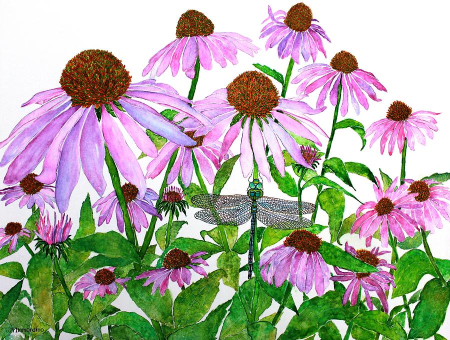 900x680 Pink Cone Flowers And Dragonfly Painting By Janet Immordino - Coneflower Painting