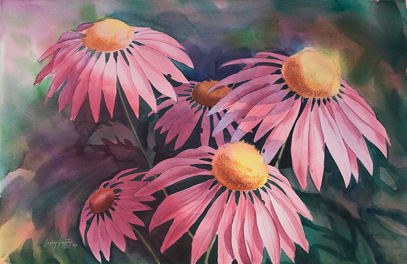 800x519 Purple Cone Flowers Larry Fentz Studio Orginal Watercolors - Coneflower Painting