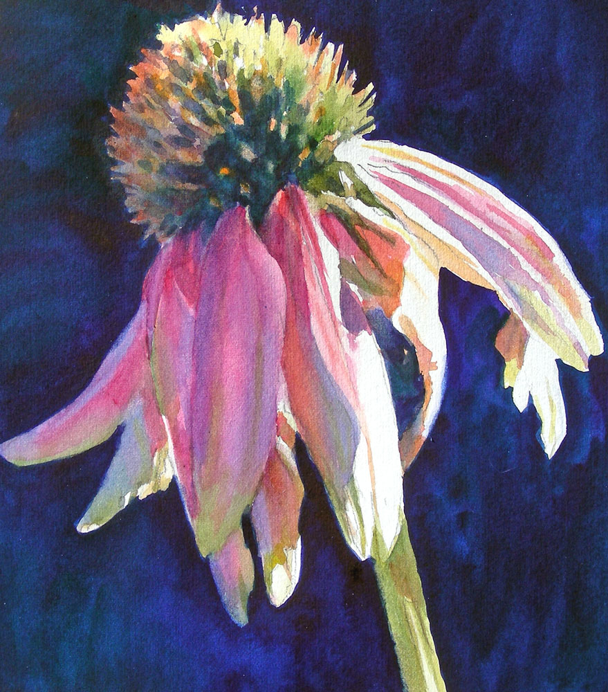 879x1000 Seasonal Notes Fall 2016 - Coneflower Painting