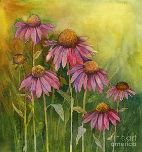 281x300 Coneflower Paintings Fine Art America - Coneflower Painting