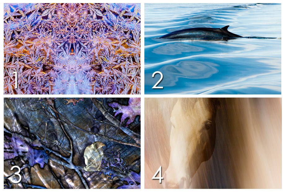 920x620 Tune - Connect The Dots Painting