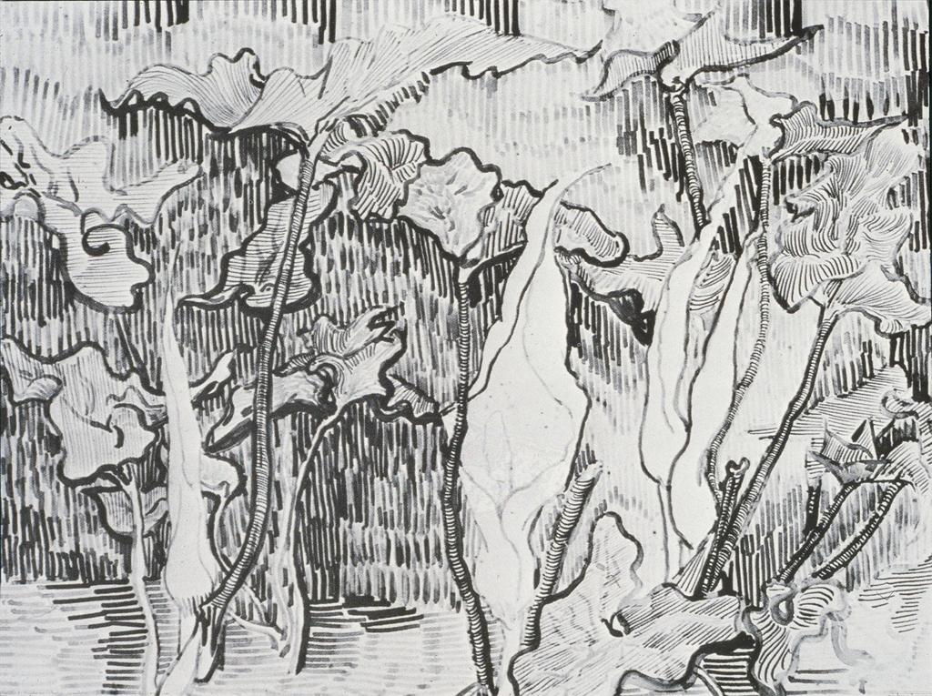 1024x765 Drawing + Painting Notes Drawing + Painting Classes Looking - Contour Line Painting