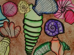 250x187 Fifth Grade Contour Line Seashell Watercolor Painting - Contour Line Painting