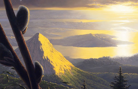 485x315 Contrast - Contrast Painting