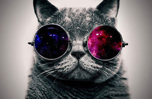 300x195 Modern Abstract Oil Painting Wall Decor Art Huge - Cool Cat Painting