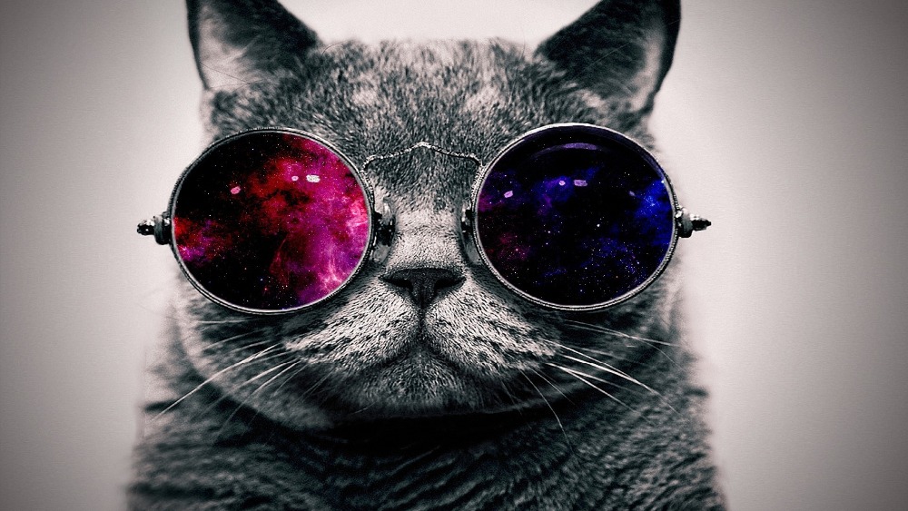 1000x563 Modern Cool Cat Wear Glasses Wall Painting Print On Canvas - Cool Cat Painting