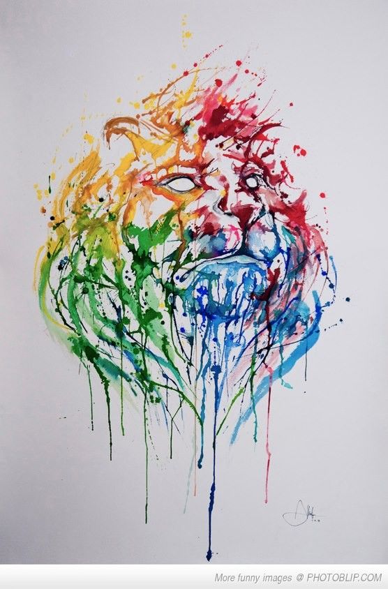 556x844 Cool Splash Painting Of A Lion Art Lions - Cool Lion Painting
