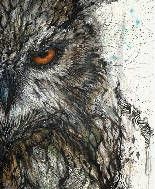 500x609 My Owl Barn Splattered Paint Animal Portraits By Hua Tunan - Cool Owl Painting