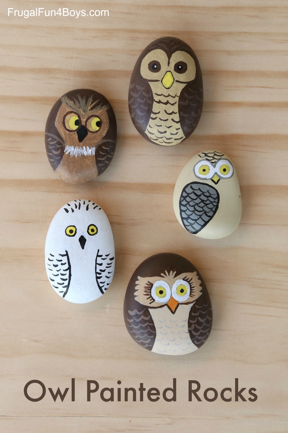 1000x1500 Owl Painted Rocks - Cool Owl Painting