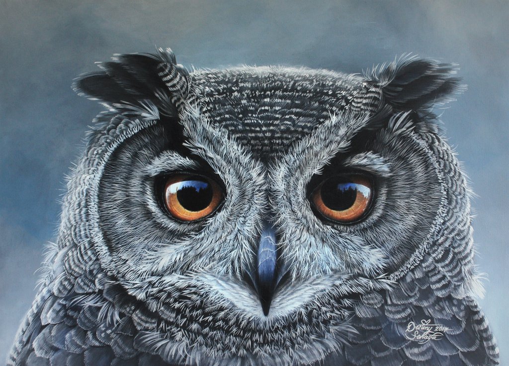 1024x738 Owl Painting By Straewefin - Cool Owl Painting