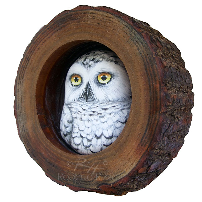 650x650 Snowy Owl Nest A Fantastic Lucky Charm To Decorate Your Home - Cool Owl Painting