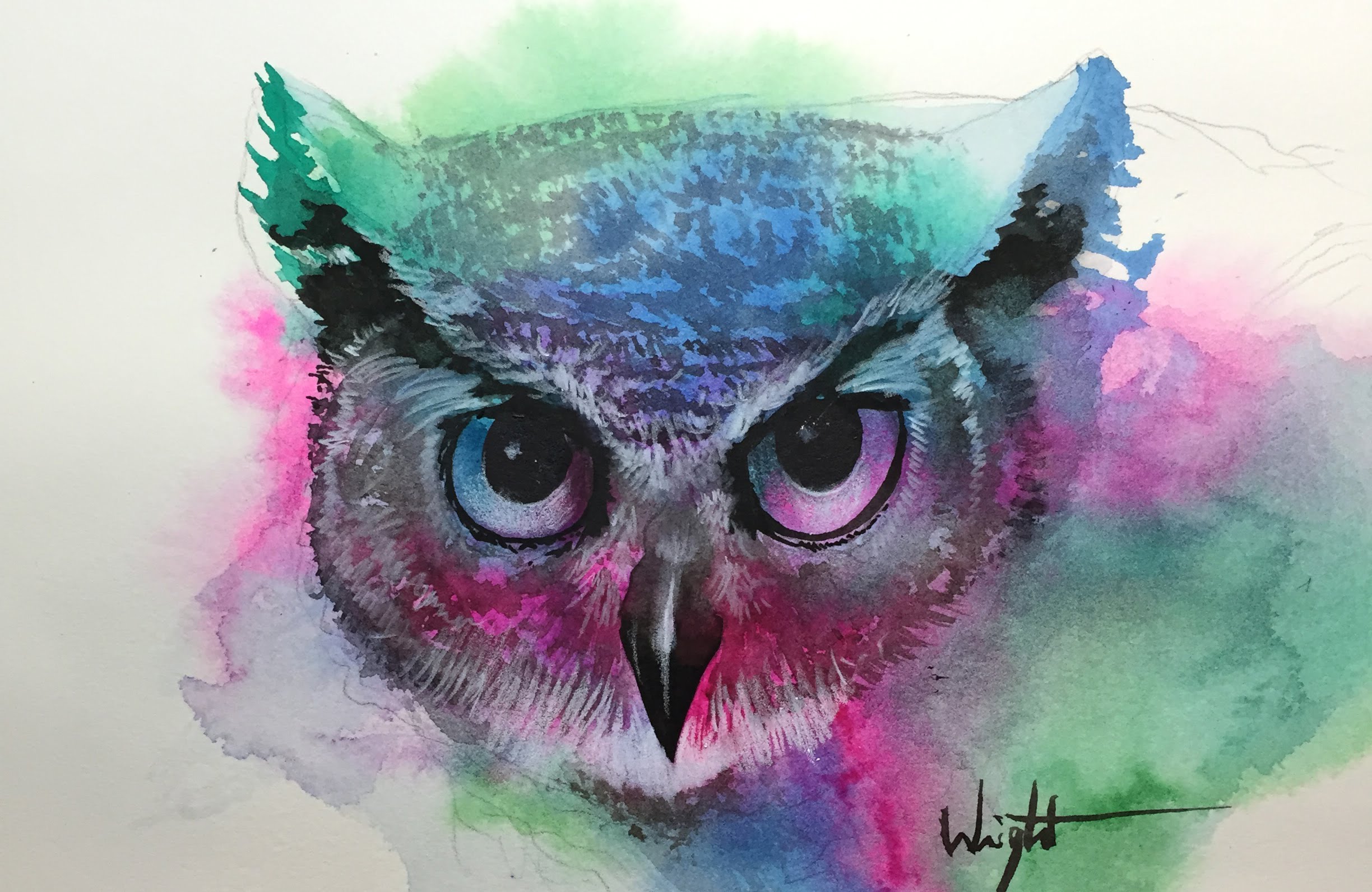 2448x1591 Watercolor Painting By Joel Wright - Cool Owl Painting