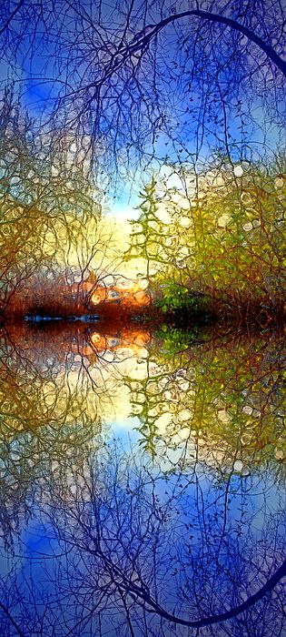 315x700 Cool Tree And Lake Painting. The Light Shines Kindly By Tara - Cool Tree Painting