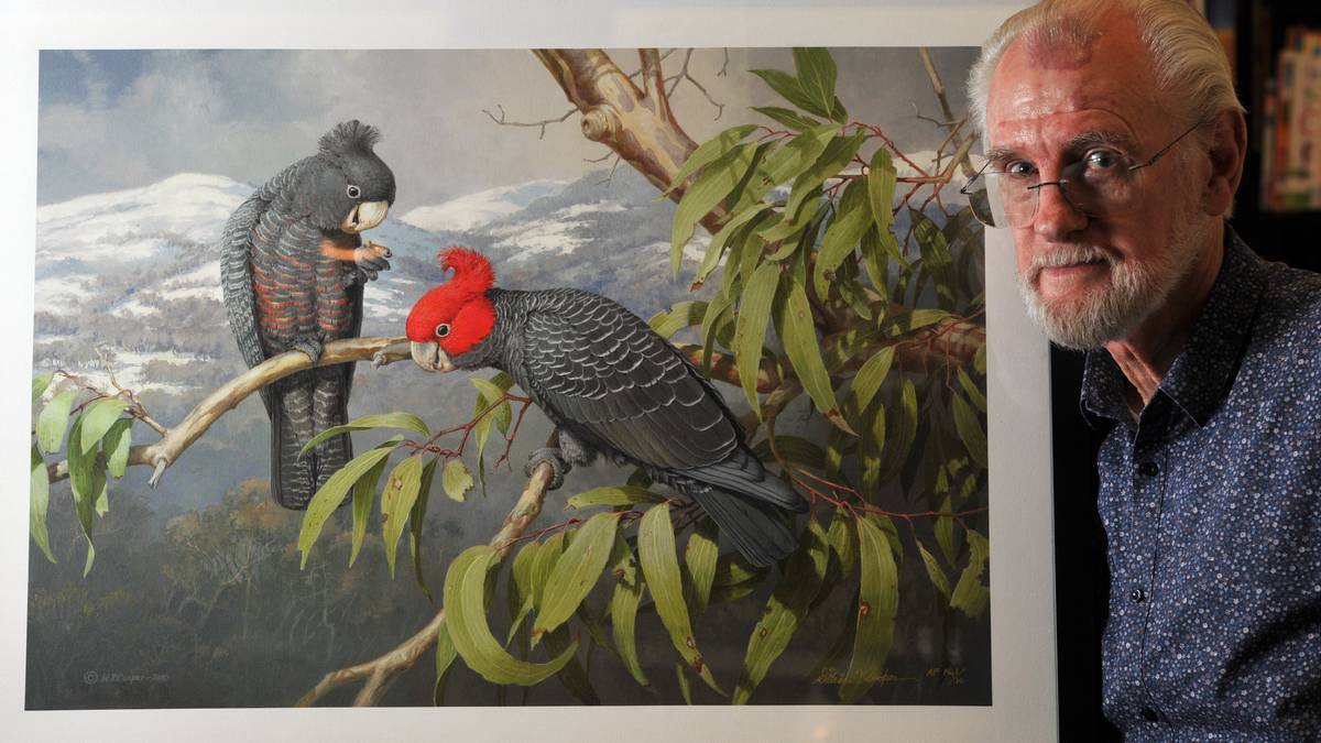 1200x675 Obituary William T Cooper, Avian Artist Newcastle Herald - Cooper Artist Painting