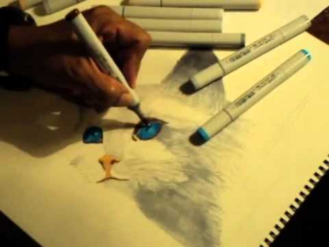 480x360 Herman's Speed Painting - Copic Painting