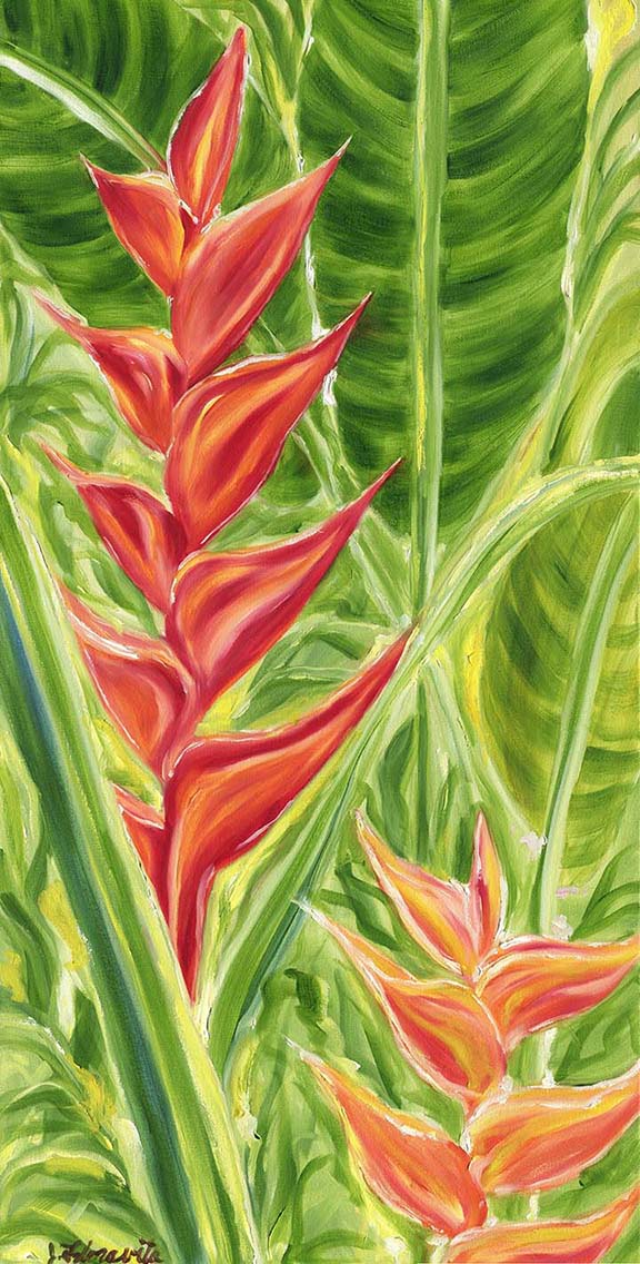 576x1136 Tropical Hawaiian Flower In Coral Wall Painting 18x36 Oil - Coral Painting