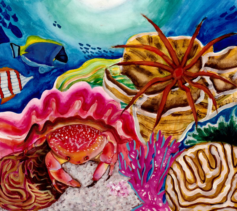 800x713 International Art Competition Inspired By Coral Reefs (Kslof - Coral Reef Painting
