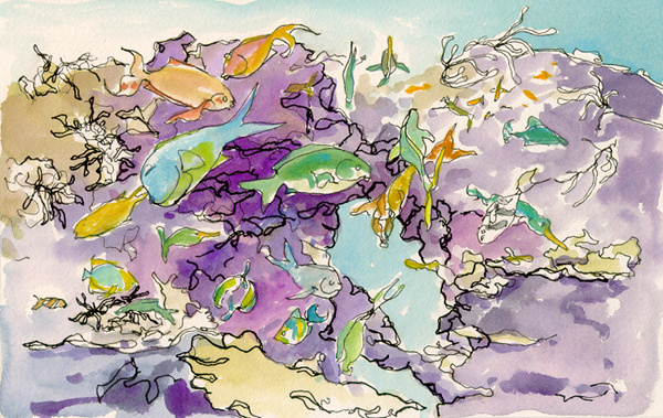 600x379 Aquarium Coral Reef Academy Of Sciences San Francisco Ca Ink - Coral Reef Watercolor Painting