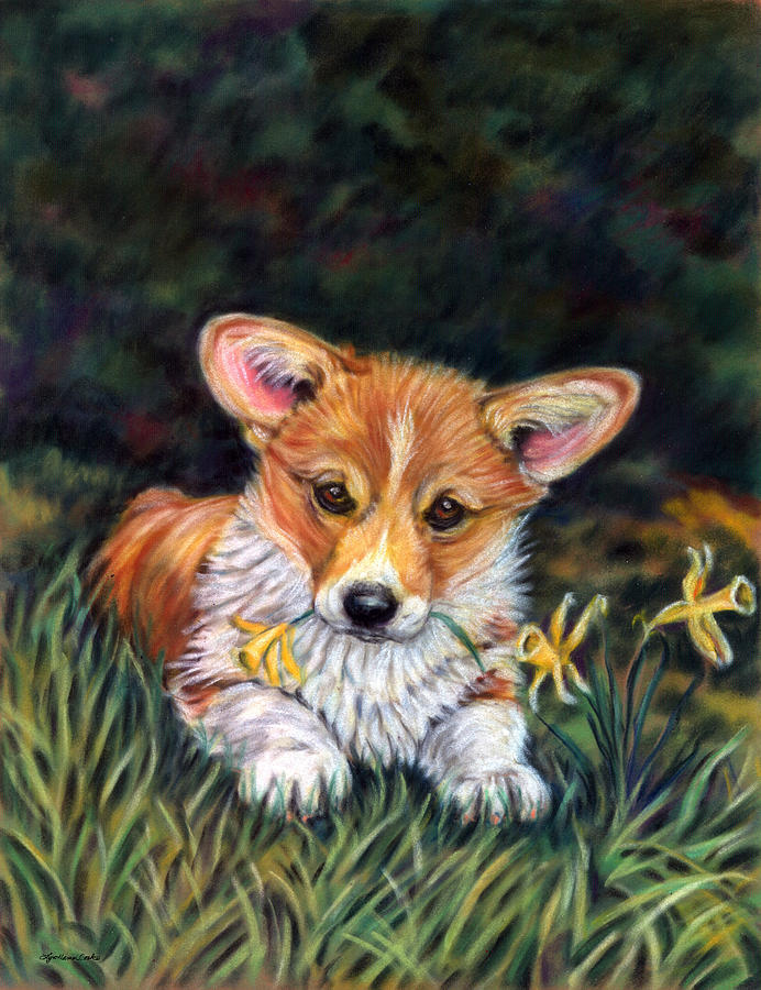 692x900 Puppy In The Daffodils - Corgi Painting