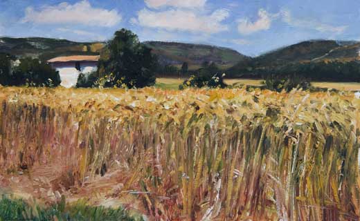 520x320 Daily Paintings Cornfield And Mistral Postcard From Provence - Corn Field Painting