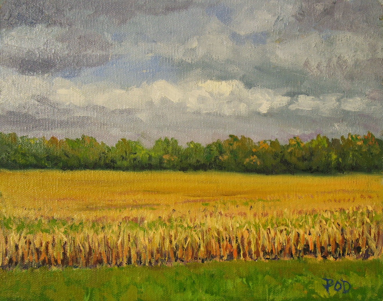 1321x1041 Pat O'Driscoll Fine Art Landscape Painting,autumn Cornfield, Core - Corn Field Painting