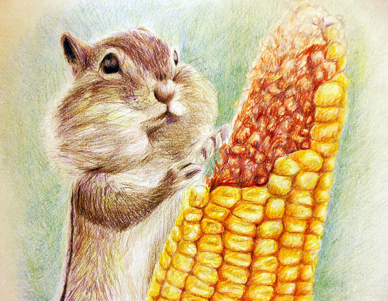 1320x1024 Picture Rodents Corn Animals Painting Art - Corn Painting