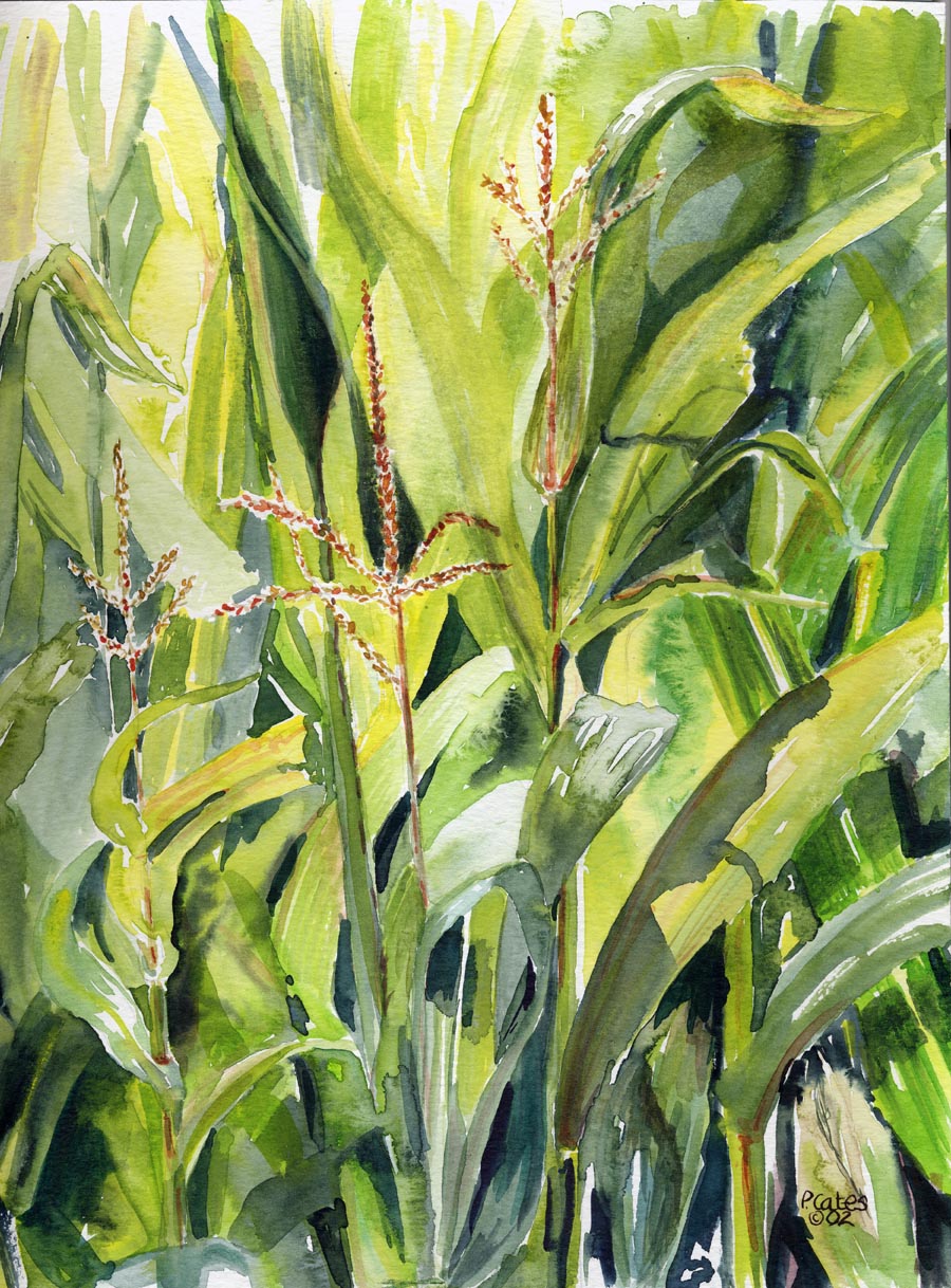 900x1218 Painting Pamcates - Corn Painting