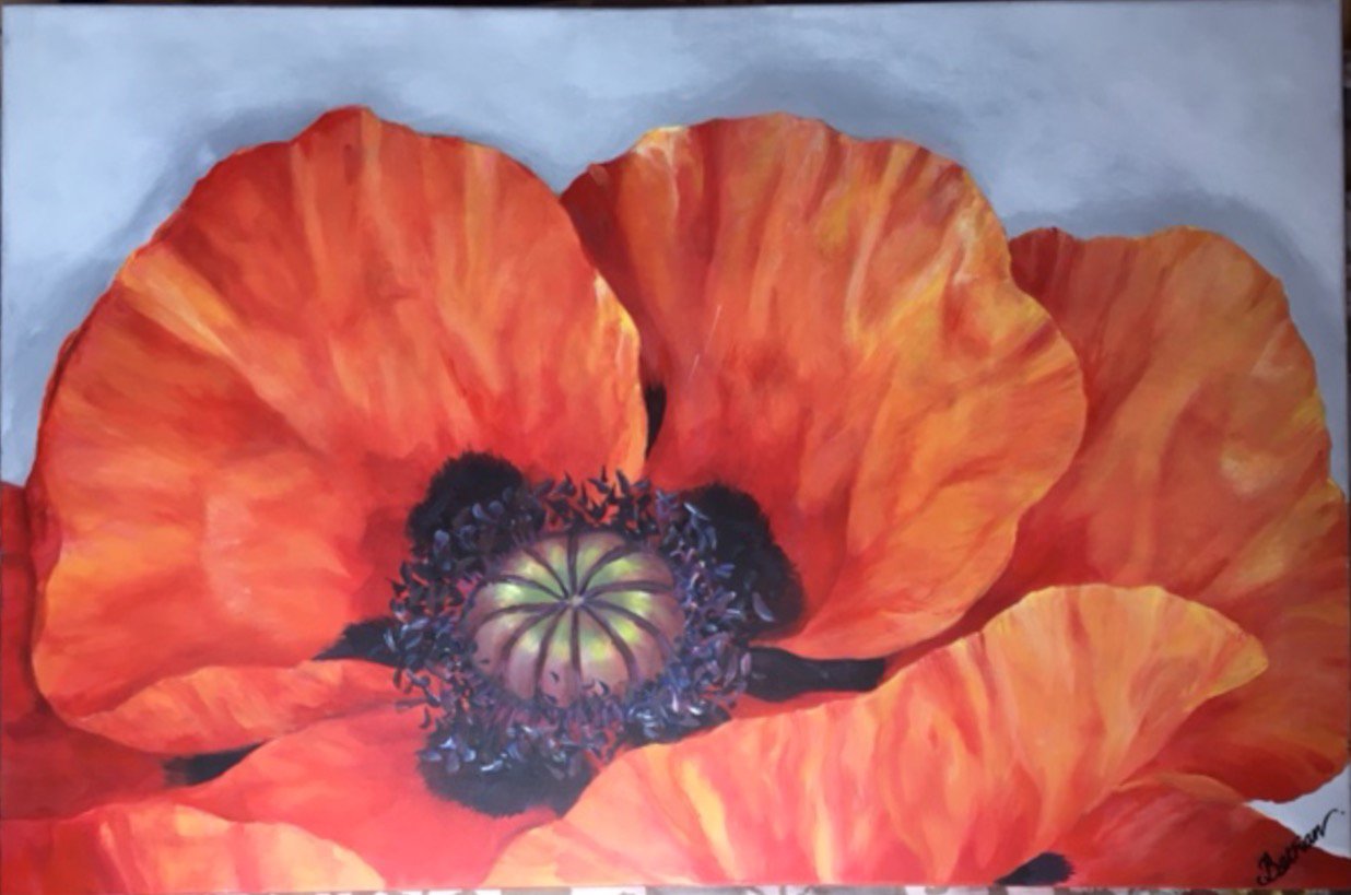 1236x819 Red Poppy Acrylic Painting 24 X 36 Bethan Clayton Designs - Corn Poppy Painting