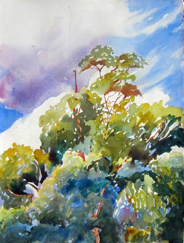 604x800 Costa Rica Paintings - Costa Rica Painting