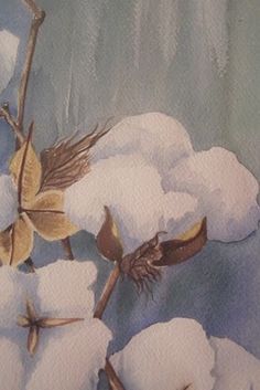 236x353 Cotton I Art Print By Blythe Quinn Cotton, Paintings - Cotton Boll Painting