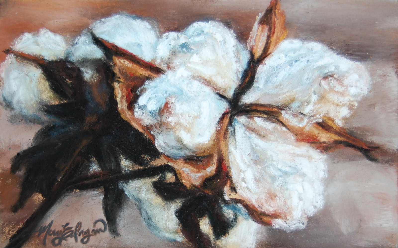 1600x997 Somewhat Daily Paintings Cotton - Cotton Boll Painting
